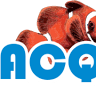 Acquariolandia