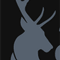 A & C Sports Ltd