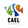 Acuario Cael