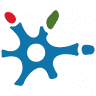 ADACE CLM (Asociación Daño Cerebral Sobrevenido de Castilla-La Mancha)