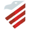 Adamson Roofing Company