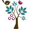 Adelaide Paediatrics Mt Barker