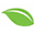 Adelphi Dental Care