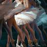 Adirondack Dance & Fitness Academy