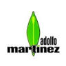 Adolfo Martinez Coscurita