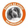 Asociatia anima