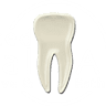 Advanced Dental Artistry