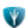 Advocatenkantoor In 't Ven