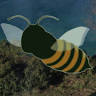 Affittacamere Fiorella