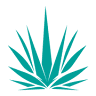 Agave Roofing