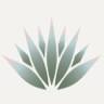 Agave Dental Care