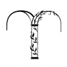 L'Arco Fiorito - Agenzia Funebre