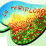 La Mariflora - Onoranze Funebri di Donatella Annese