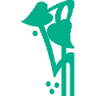 Agenzia Immobiliare Novecento