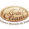 Farm Holiday Court Oliani