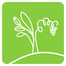 Azienda Agricola Facci società agricola
