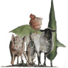 La Tana del Bianconiglio