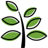 Agromillora Australia JV Pty Ltd