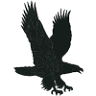 Anishinabe Wakiagun