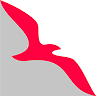 Air Arabia Airlines