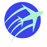 Airport Limo Service