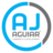 AJ Aguiar, Lda.
