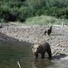Alaska Ultimate Safaris