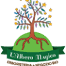 The Magic Tree Srl c / o JuliaCenter