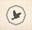 Sage's Sparrow Skin Care & Spa Therapies