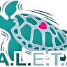 Aleta
