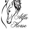 Alfa Horse - Psychologia i Trening Koni: Katarzyna i Mirosław Michałek
