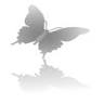 Live Oak Allergy & Asthma