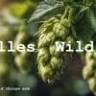 Alles Wild