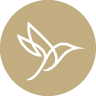 Allied Real Estate Schools