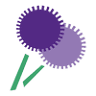 Allium - Floristik in Rentsch