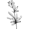 Alma blomster og brugskunst