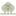Almojanda 3 olive tree