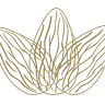 Almond Attorneys LLC