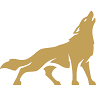 Alpha Results marketing