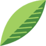 ALPINE FRESH INC