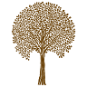 alpino