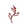 Amaranth