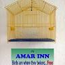 Hotel Amar Inn