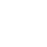 Amaroq Explorers