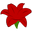 Amaryllis Bulb Co