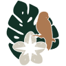 Amazon Deep Jungle Tours