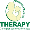 Amba Tidley Therapy