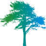 Amberly Dental