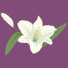 Squires Funeral Home