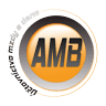 AMB accounting, s.r.o.